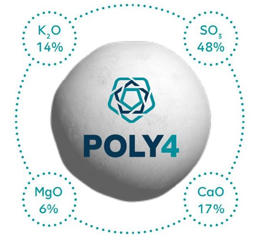 ADMAgriculture's tweet photo. #fertiliserfriday

Setting your farm up for success in 2026 starts with choosing the right nutrition to get the most from your crop.

With its sustained dissolution, POLY4 ensures season-long nutrient availability and even distribution from every granule. https://t.co/k9cmWWaqjx