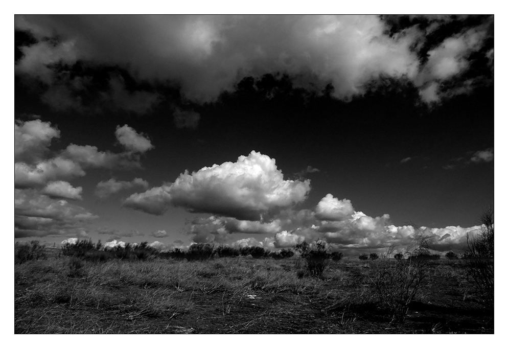 #Fotografía 
#Foto 
#Photography 
#Streetphotography 
#Monochrome 
#Blackandwhite 
#Blancoynegro