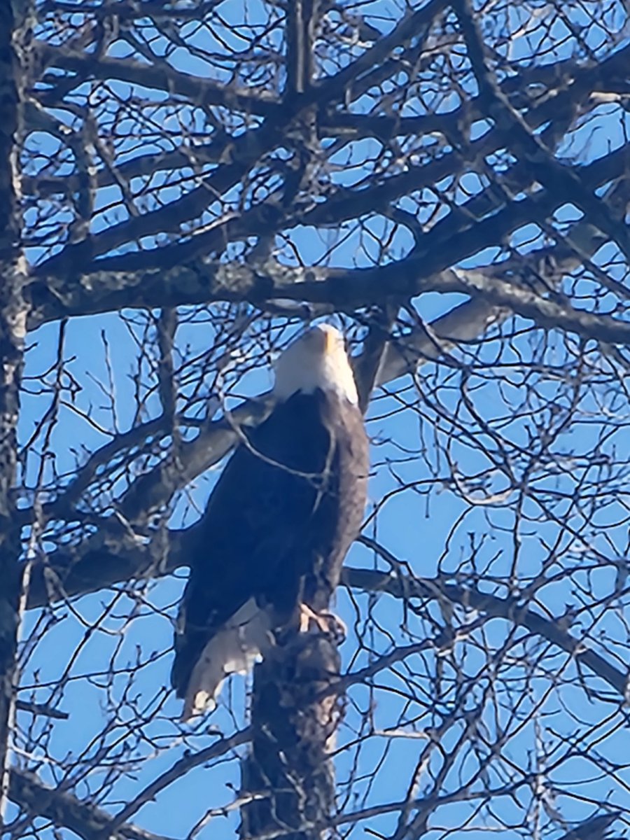 Have a visitor today.
