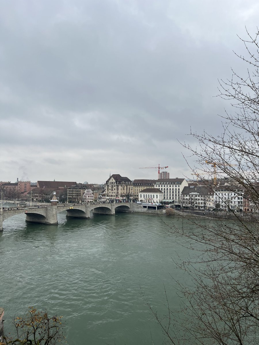 Max Stokes tweet media