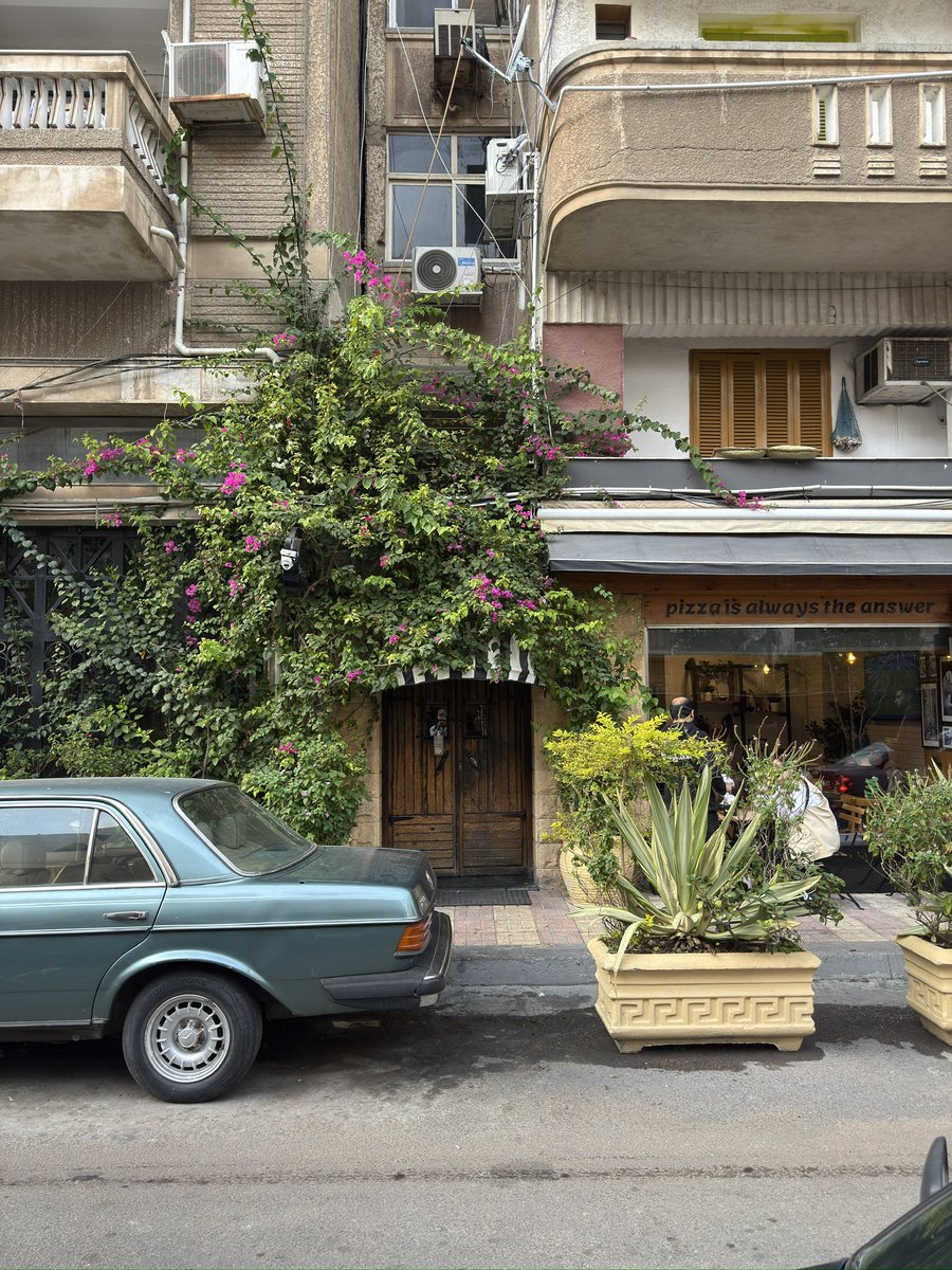 _4evver's tweet image. الثاني عشر من ديسمبر