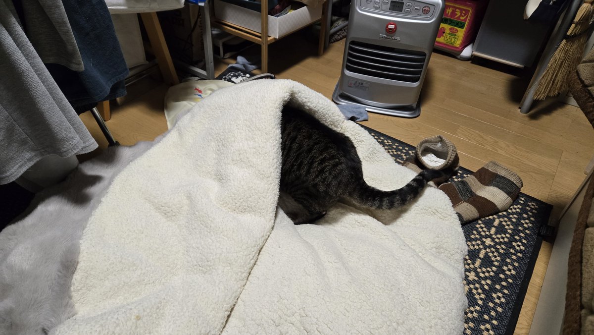 ありちんᕙ( 'ω' )ᕗ (@black_arichin) / Posts / X