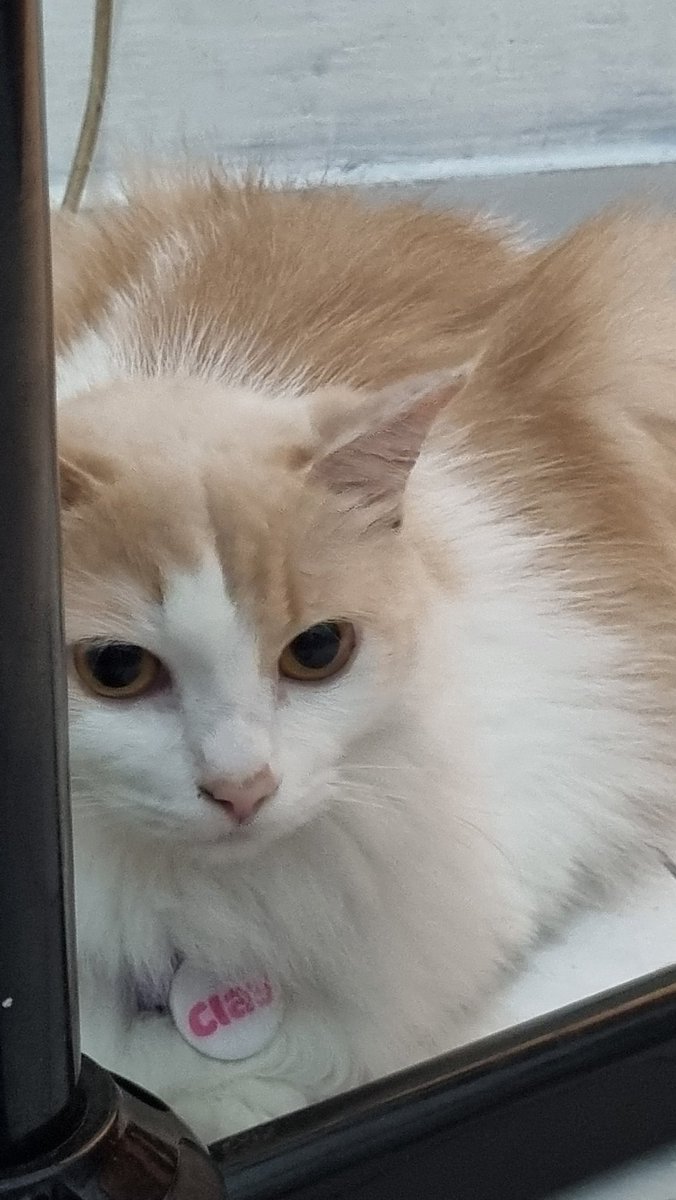 Hmm enak tuh kayanya