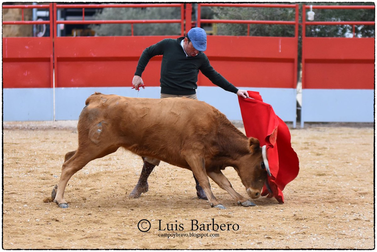 Imanol Sánchez continúa su preparación en Toros de Guerrero antes de su temporada en México share.google/tRfeylkbNZUJ8k…