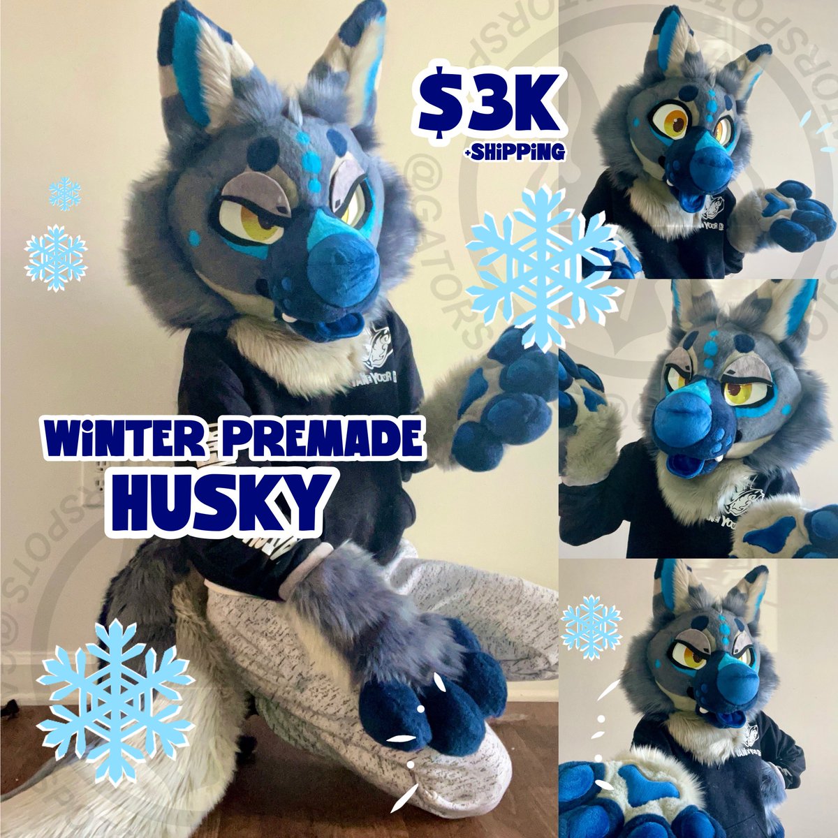 GATORSPOTS tweet media