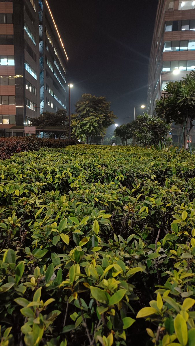 जो सिर्फ ज़रूरत पड़ने पर याद करे; उसे अपनी ज़िंदगी में उतनी ही जगह दो, जितनी ज़रूरी है।

Good night x family 
शुभ रात्रि