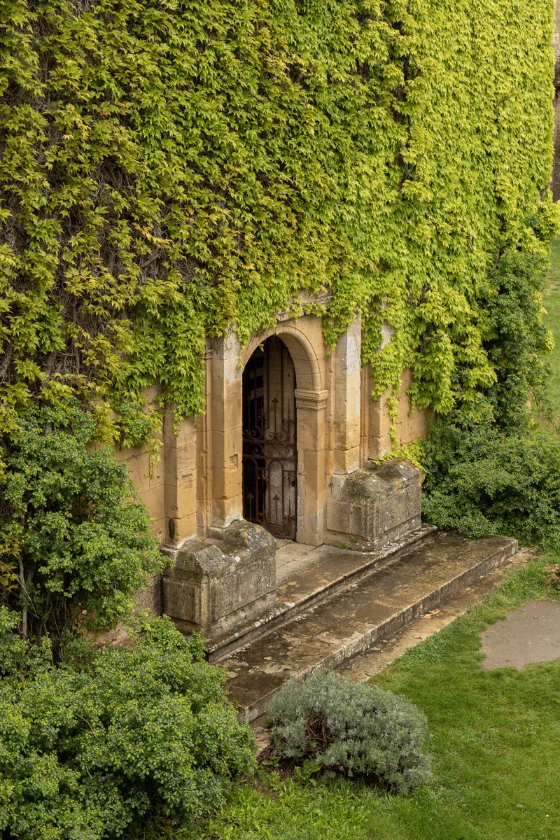 Raphael Barberi📷 tweet media