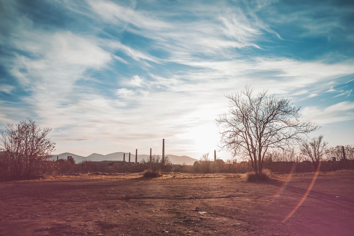 Bethany Neumann tweet media