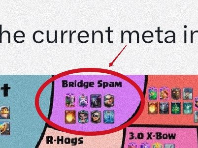 Echidna tweet media