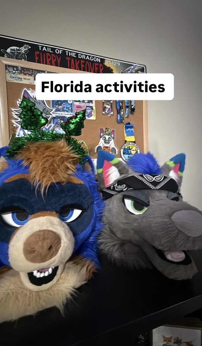 My favorite <a href="/Alex_fluffyboi/">Alex 🔜 AQF🌴</a>