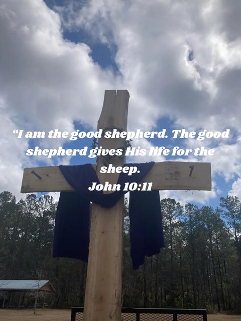 Jsano97's tweet image. 