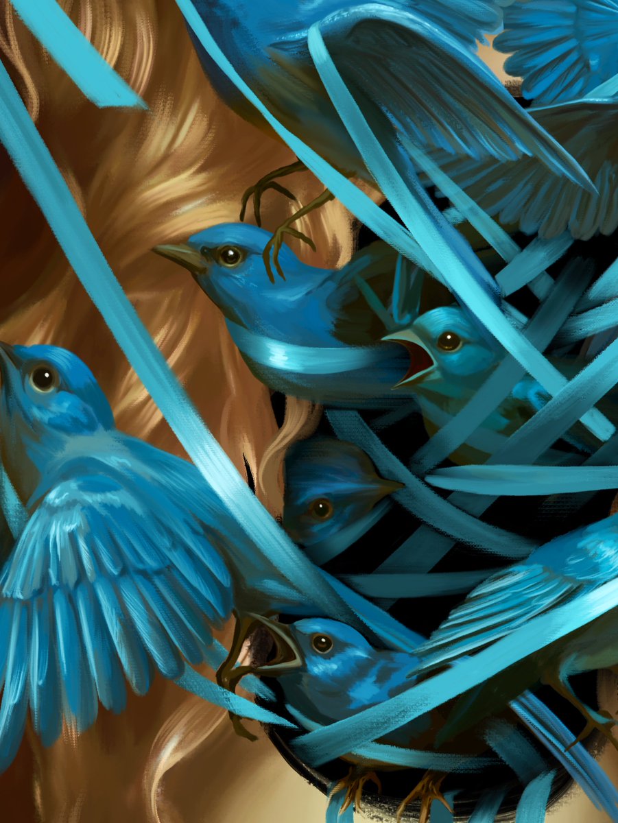 Christine_Clue's tweet image. Gm, birds of a feather🪶