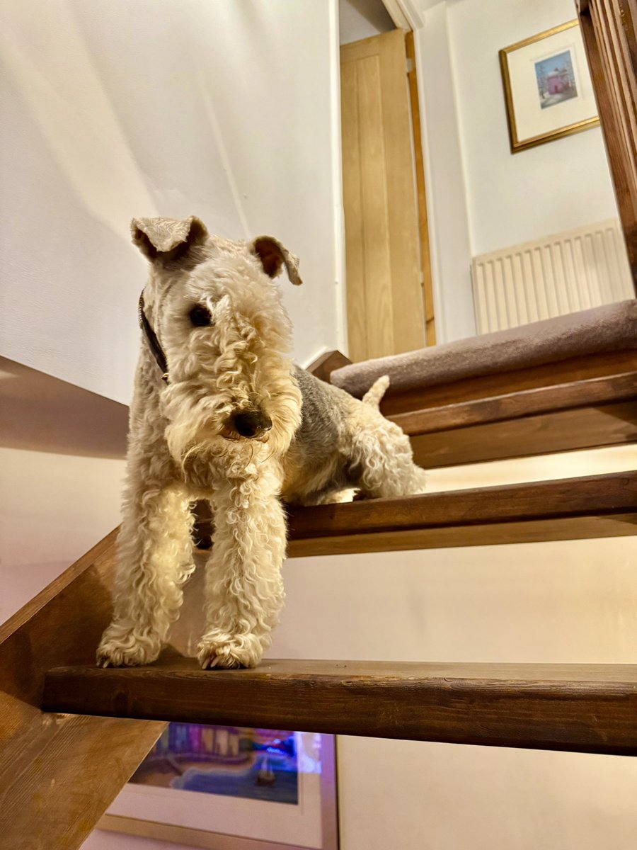 Halfway down the stairs
Is a stair
Where I sit.
There isn't any
Other stair
Quite like
It.
I'm not at the bottom,
I'm not at the top;
So this is the stair
Where
I always
Stop.
Halfway up the stairs
Isn't up
And it isn't down.
It isn't in the nursery,
It isn't in town.
And all
