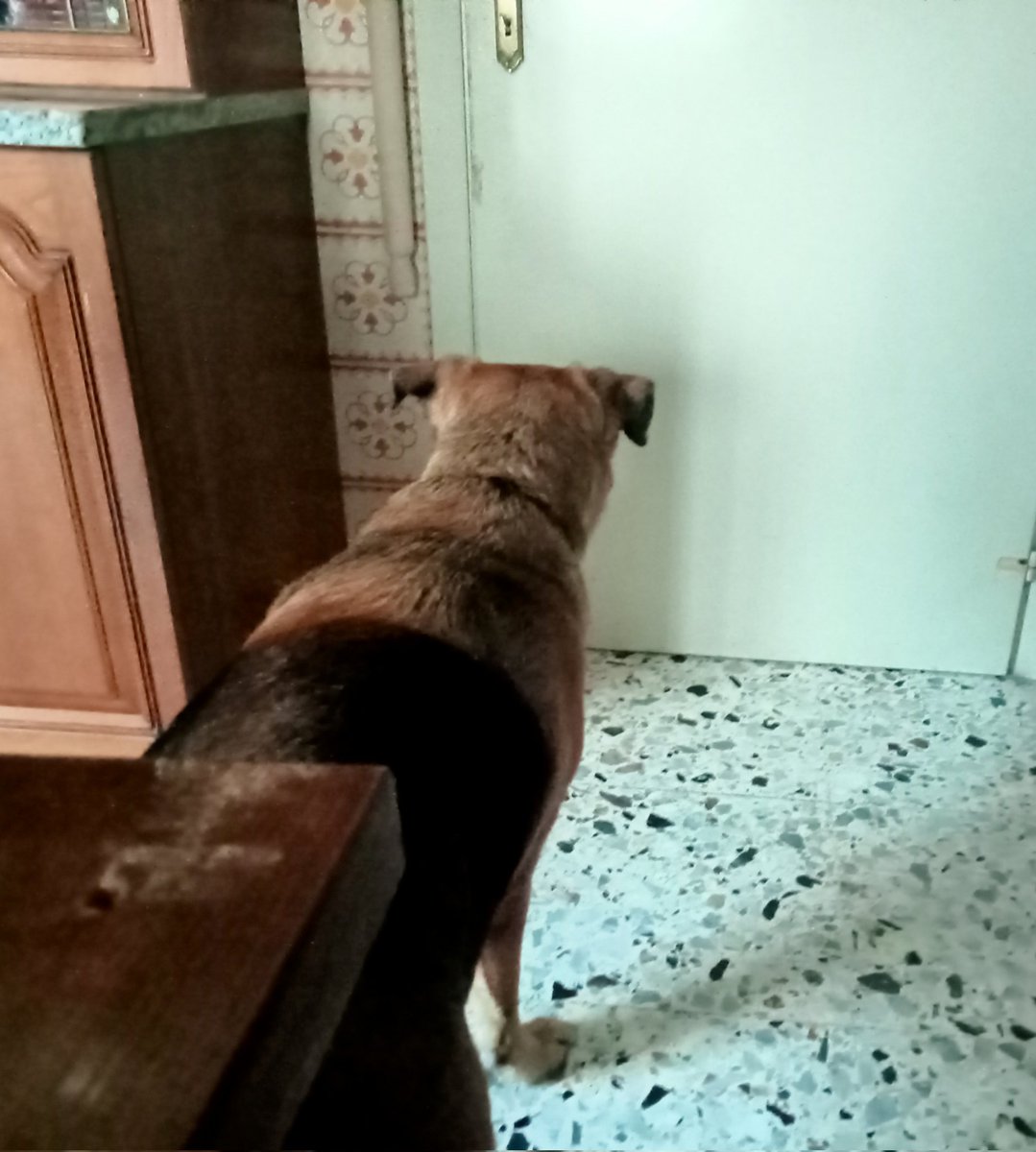 Huh? Big Boss went out and left me with Yo and Picco????