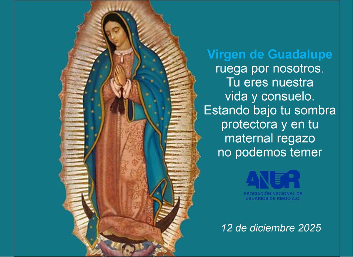 Alejandro Salcedo tweet media