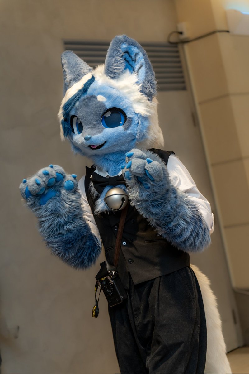 三次元乗貳貓 tweet media