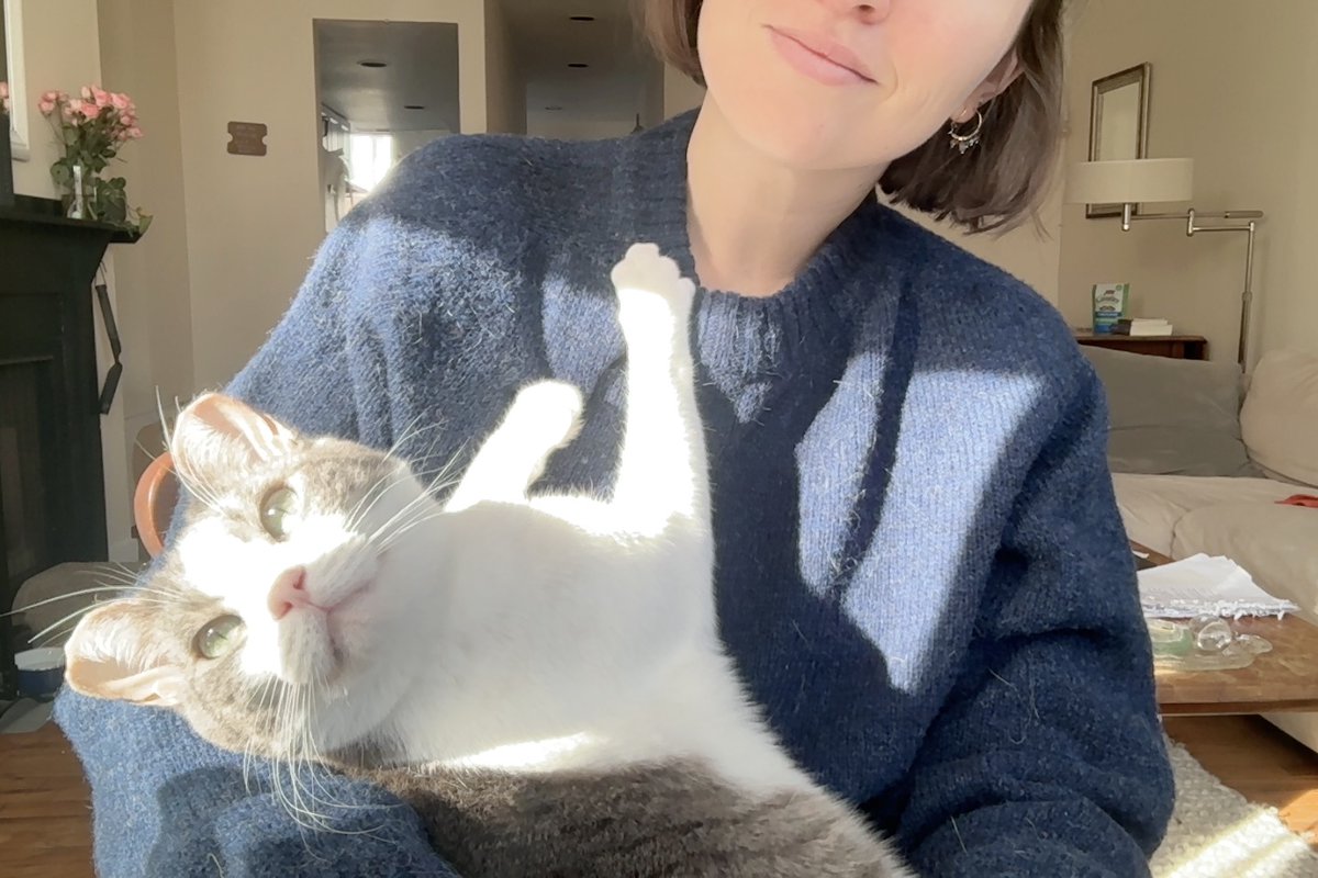 ray__wise's tweet image. when its writing time but she's looking at u like