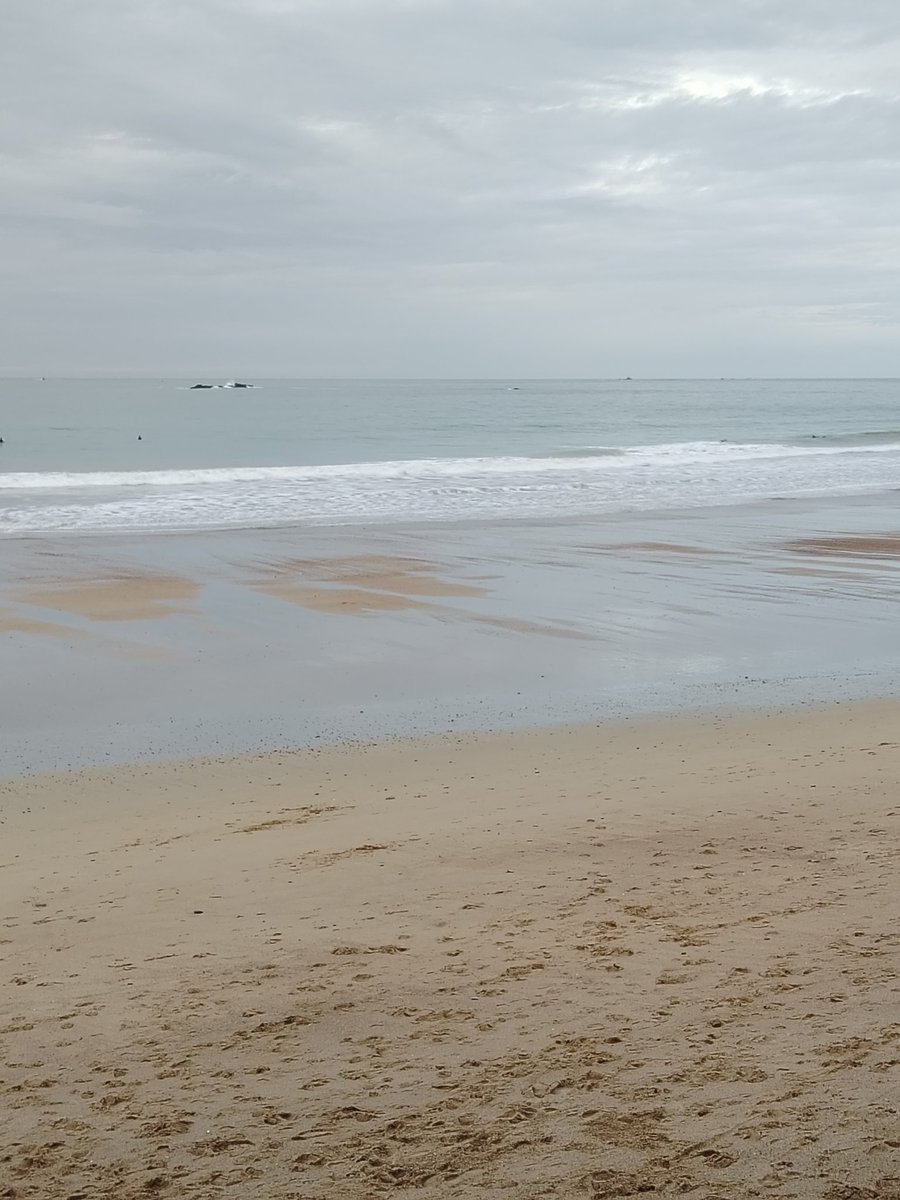 aude gamichon (@audegamichon) on Twitter photo 