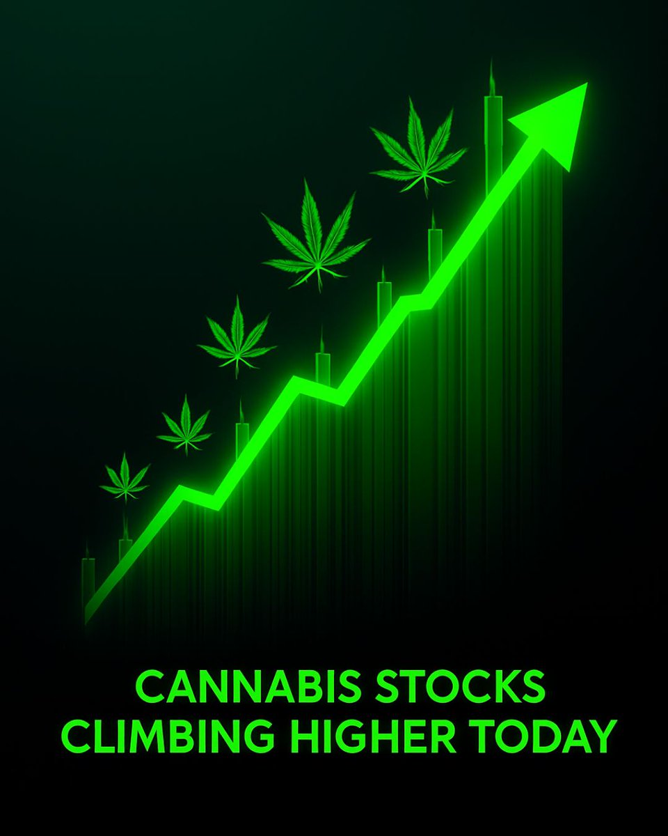 share.google/aimode/kJaAAsW… 
Cannabis #stocks are having a big run up today on hopes that #Trump will reclassify cannabis as a Schedule 3 drug. Tilray Brands ( $TLRY) surged over 25%, Canopy Growth ( $CGC) rose over 26%, SNDL Inc. ( $SNDL) jumped nearly 20%