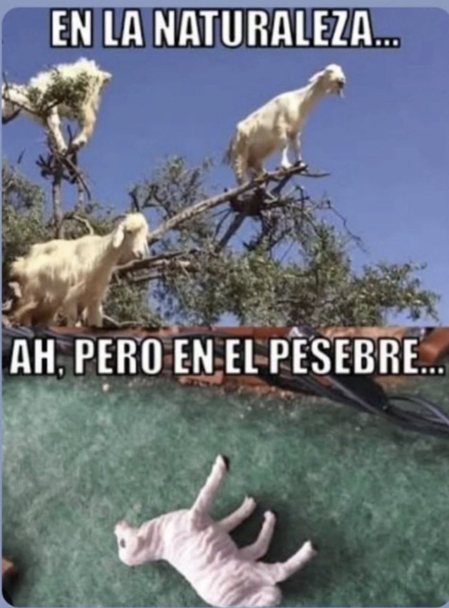 jebeloal's tweet image. Totalmente de acuerdo