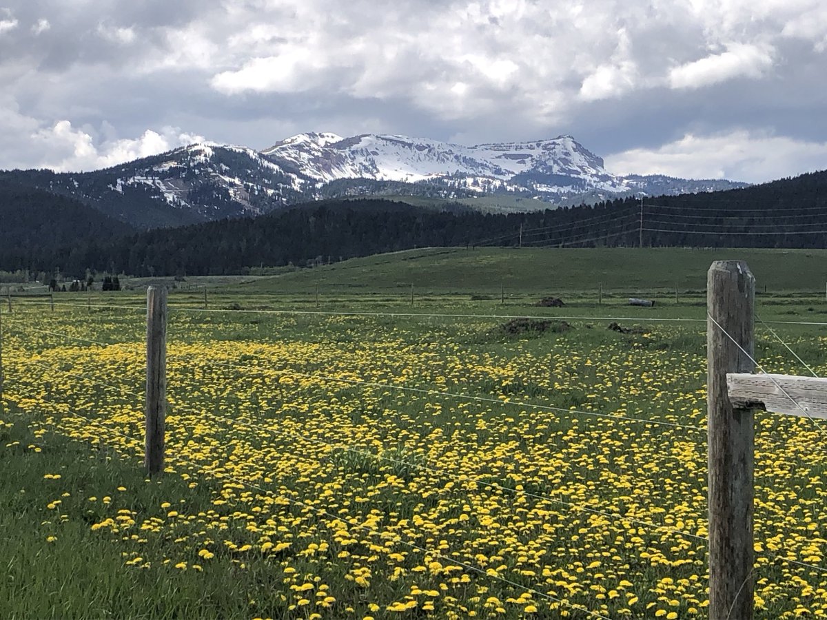 JustinCham72928's tweet photo. West Yellowstone! https://t.co/0vrE0jWzW1