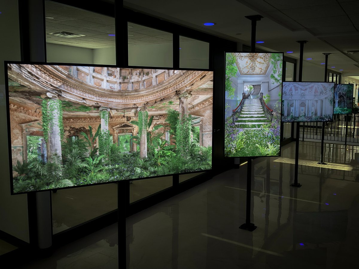 SuburbsGallery's tweet image. gm. 
Highlight of 2025 - The Wild Within
by @ryankoopmans and @alicewexell