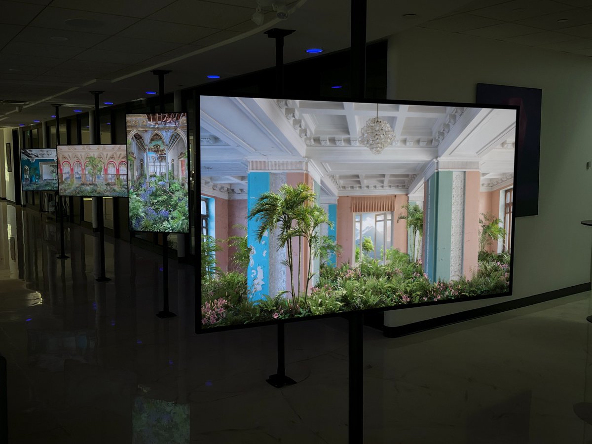 SuburbsGallery's tweet image. gm. 
Highlight of 2025 - The Wild Within
by @ryankoopmans and @alicewexell