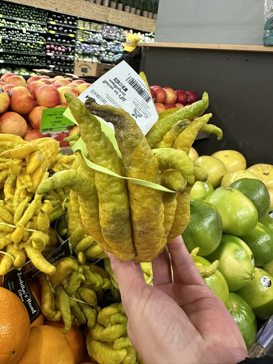 EllieJapan2022's tweet photo. That fruits named Buddha's hand Citron looks real hand.
How do you think?

#holyhand #Buddhism #Citron #fingers #groceries #familytime #ColumbusCircle #wholefoods #NY https://t.co/4ailuGYKG5