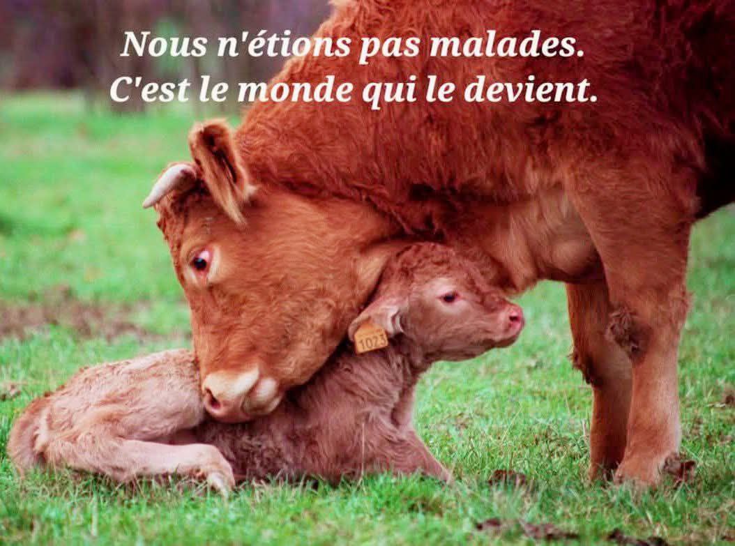 P@rousie ⚜️✝️ tweet media