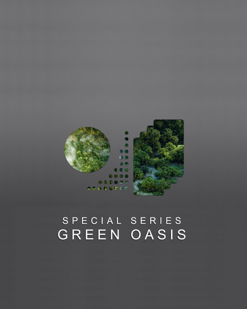 STPowder's tweet image. 🇬🇧 Our special series: GREEN OASIS
Powder coatings designed to reduce the ecological footprint.
lnkd.in/dugBrrKb

🇮🇹 Le nostre serie speciali: GREEN OASIS
Vernici in polvere pensata per abbattere l’impronta ecologica.
lnkd.in/dR24UfJi