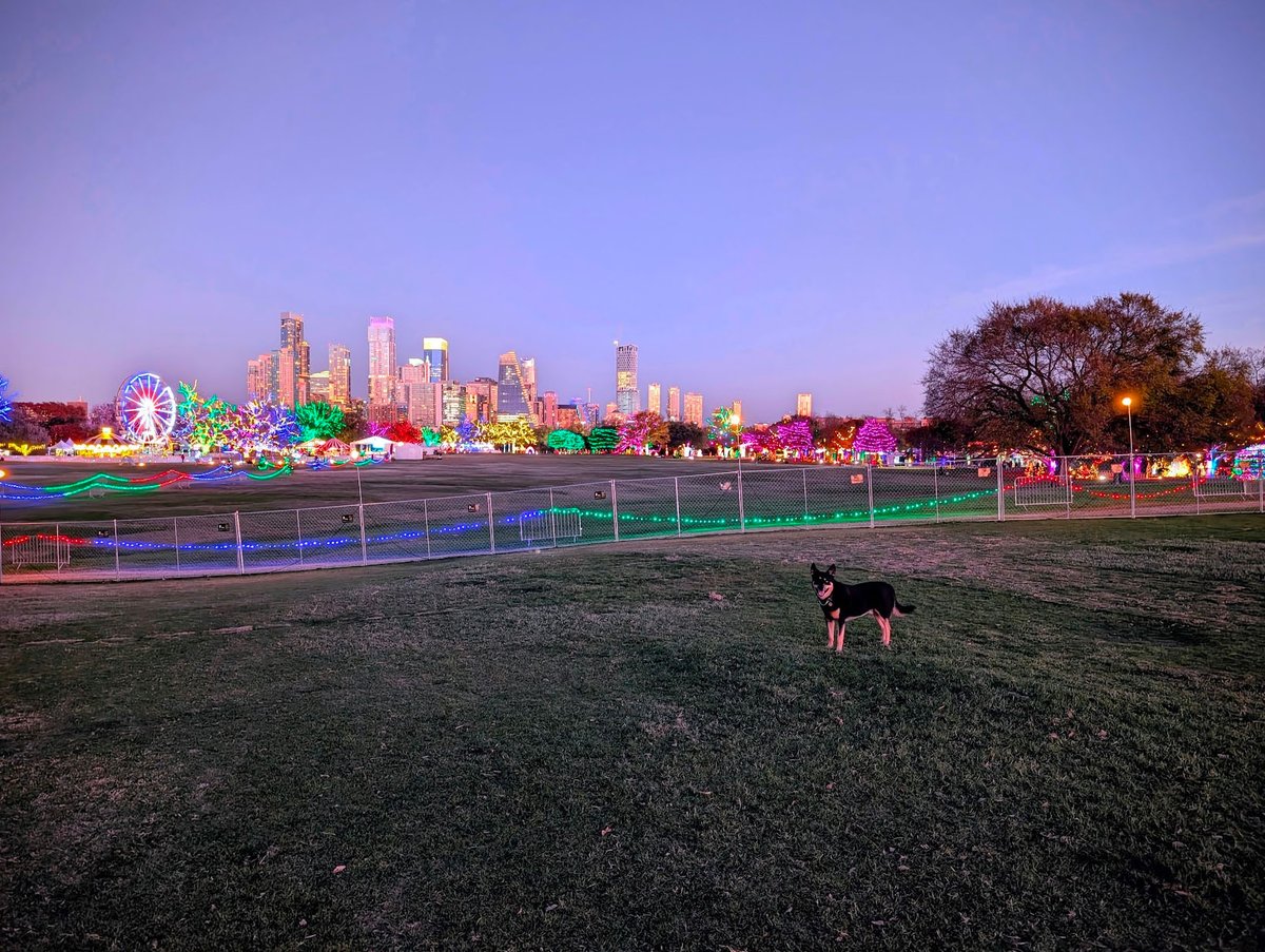 No Stick Nodes news recently, quick deploy dog Christmas picture.