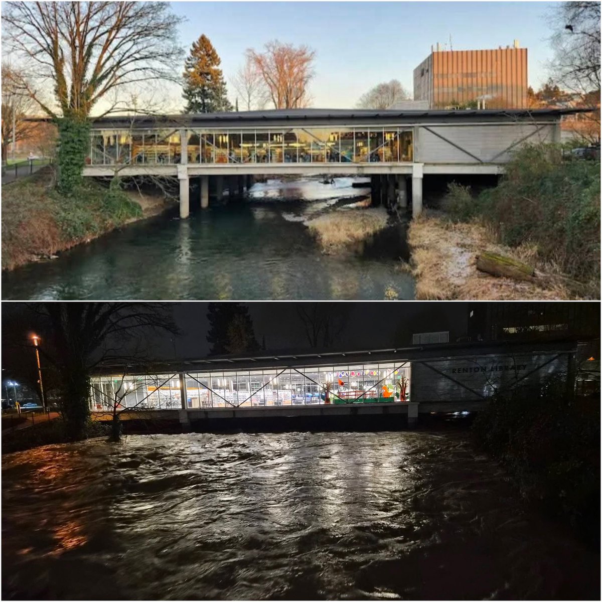 tyrahmajors's tweet image. Record level flooding in Renton at Cedar River. This is the Renton Library…before and after the overflow. 

A staff member sent these to me and says they’re assessing whether or not they will open today.  @komonews