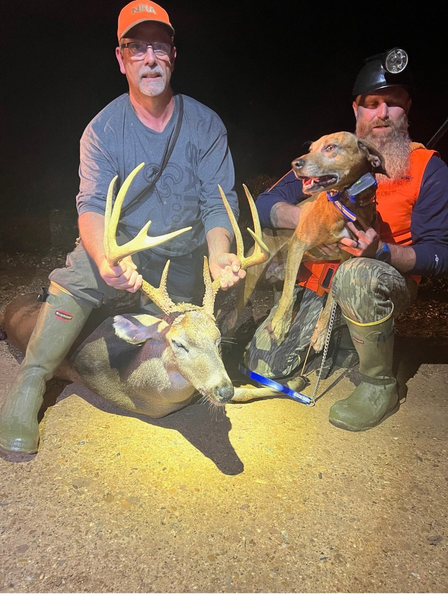 BProducts's tweet photo. If you're hunting in wet or humid conditions, a good fold crimp is often the way to go to keep your powder dry and your performance sharp. Thanks for sharing, Gary! https://t.co/5ctE2UZY8F