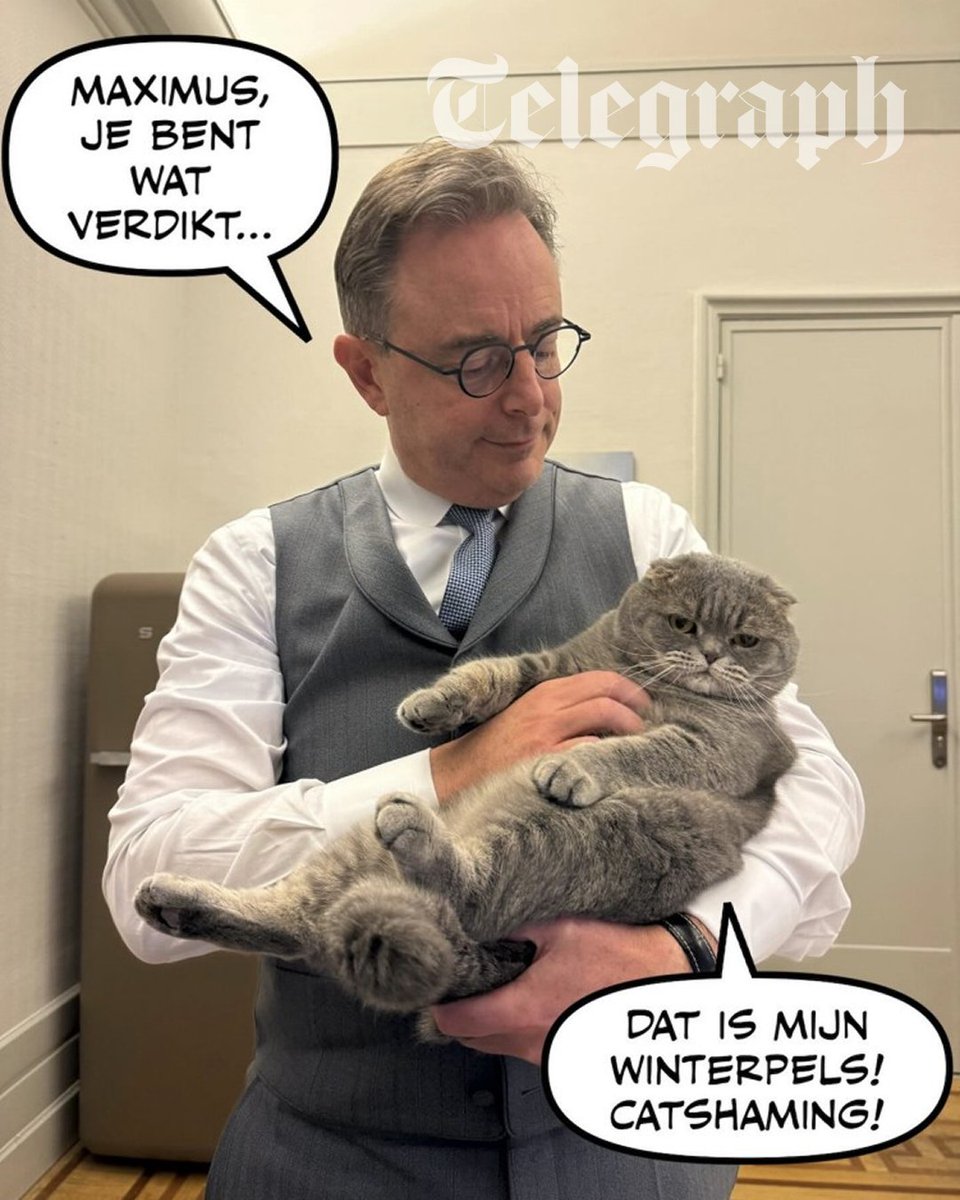 The Telegraph tweet media