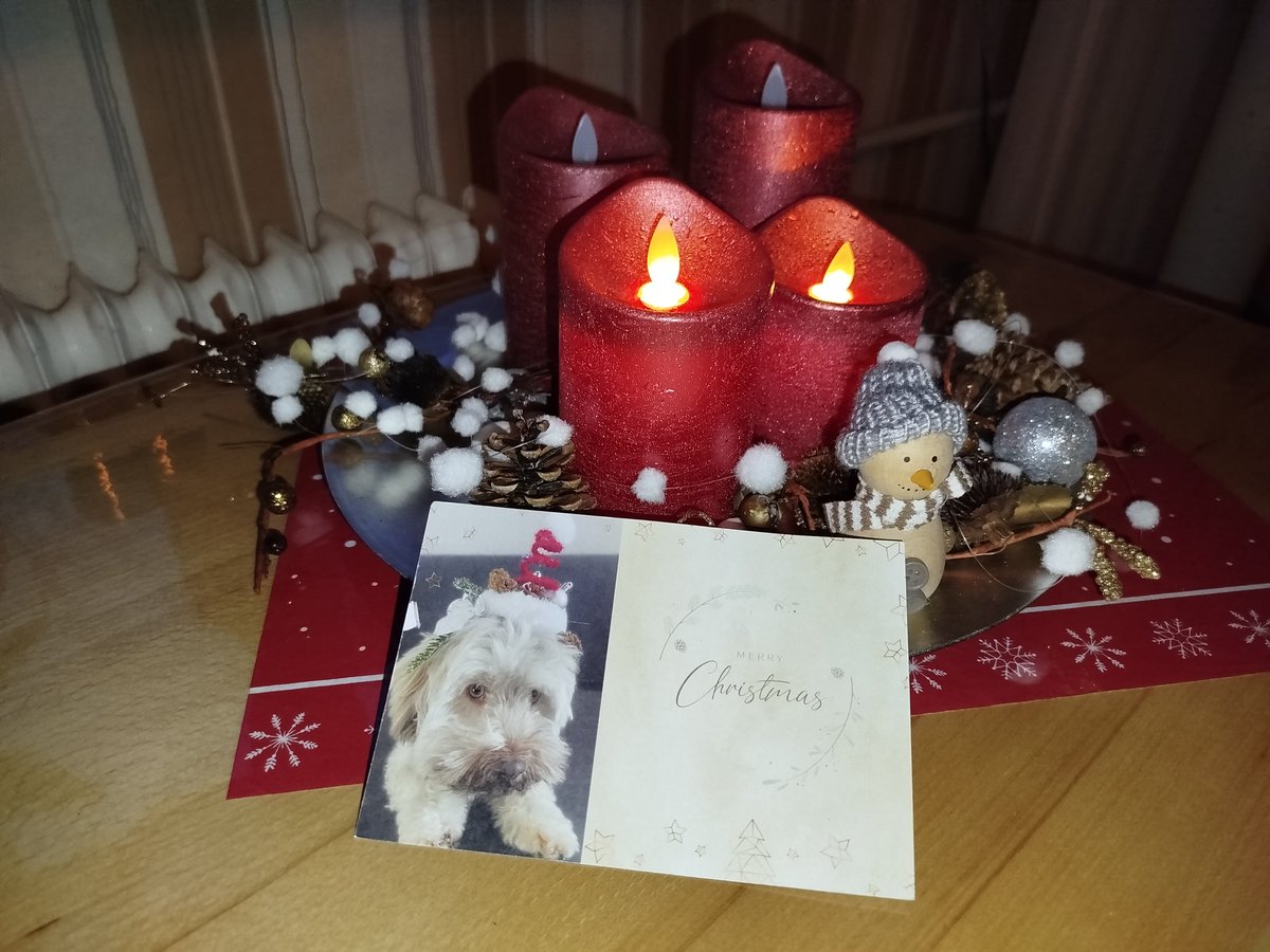 Ich habe Post bekommen von dem lieben <a href="/Maru_Bolonka/">Maru Schnuffelhäschen 🐾</a>  und seiner Familie. Vielen lieben Dank dafür ❤️😘