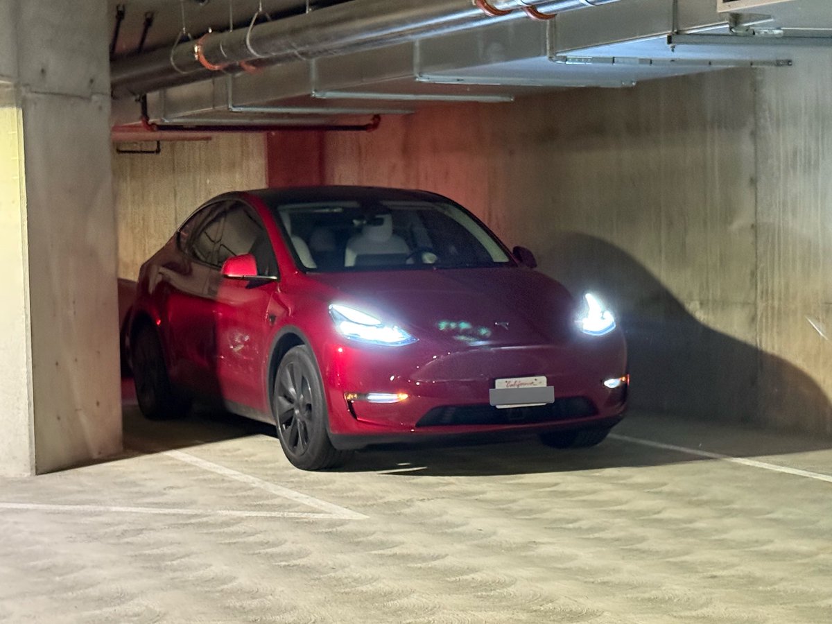 TeslaChillMode #HellaTeslas tweet media