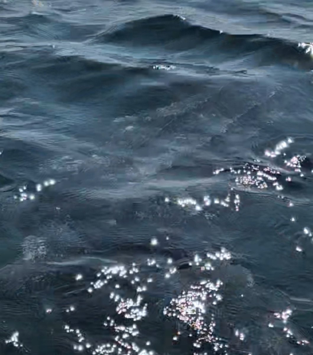 أبوبشار الغنبوصي tweet media