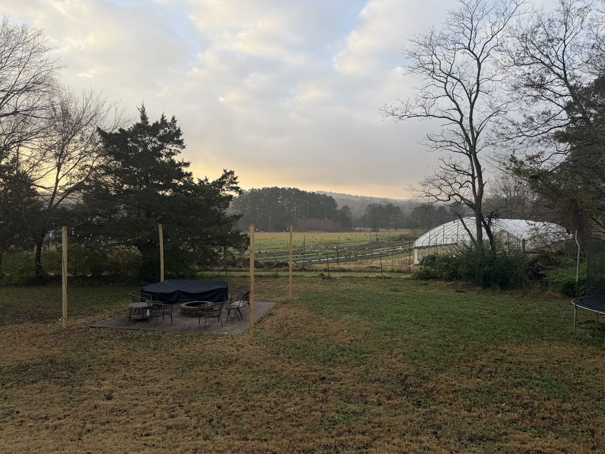 Britton Wesson tweet media