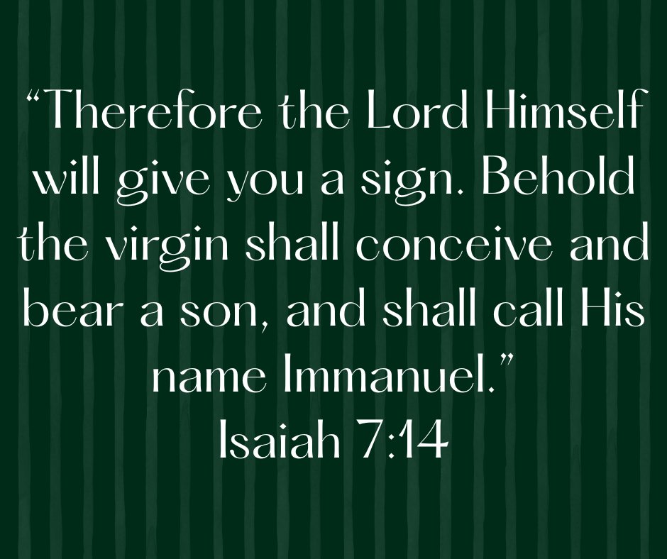 FBCMustang tweet media