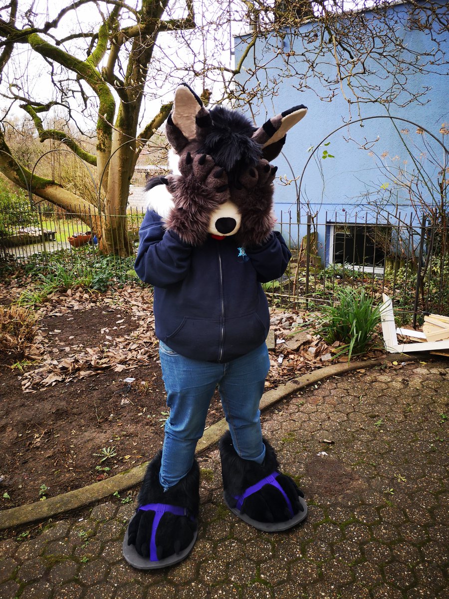 Sky_Bluefin 🔜NFC & EF & Furality & Aberacon tweet media