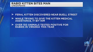 AVMAvets's tweet photo. Rabies alert in Virginia: A Chesapeake man trying to do a good deed in helping a feral kitten ended up getting bitten, and it was later found that the cat was rabid. The man is now receiving rabies post-exposure treatment. https://t.co/u04tiqyjCW https://t.co/HRXBzsbbJe