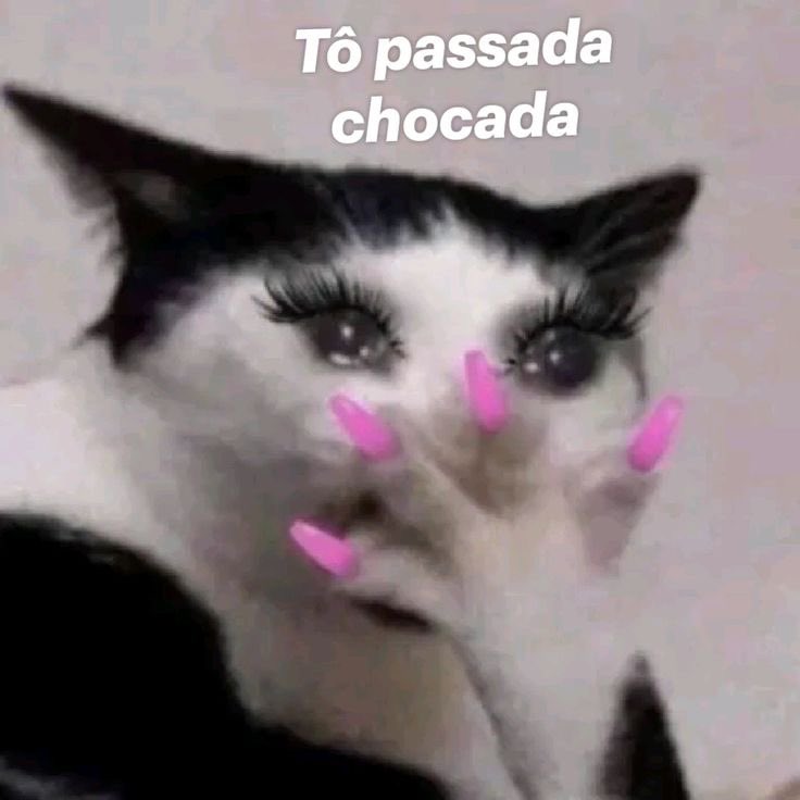 Paatche's tweet photo. 🔥 Gente, acabei de cair numa página com presentes de Natal com ATÉ 60% OFF…
Sério, não sei quanto tempo isso vai ficar no ar 😳🎄
https://t.co/0emaXYg609 https://t.co/MD0LhWwlkk
