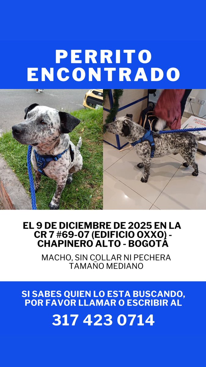 CooleraConnor's tweet image. 🚨🚨🚨 COMPARTO 🚨🚨🚨

Unos amigos se encontraron a este perrito el 9 de dic, solito, por la Séptima con 69
Se nota que es un perrito casero y está bien cuidado, así que creemos que su familia debe estar buscándolo.

Ayudaaa 😭🐕

Info: 317 423 0714