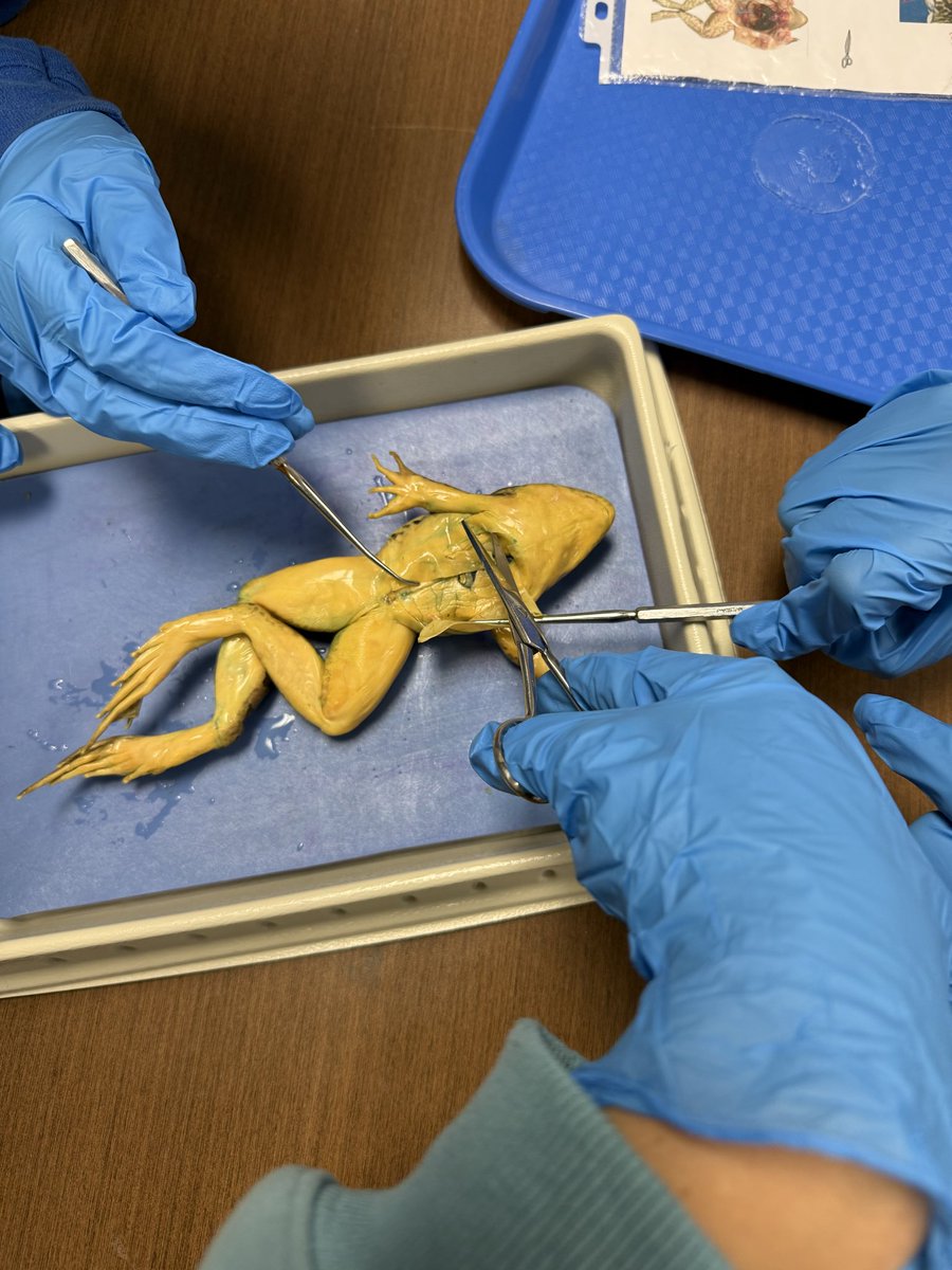 7th grade science class.