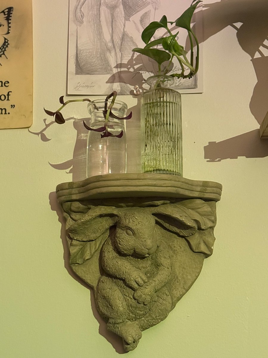 ilia 🇨🇴 tweet media