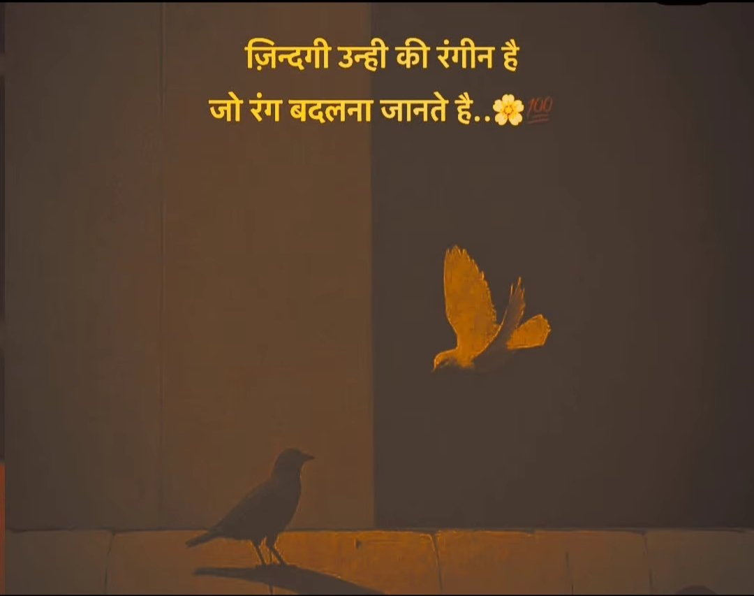 जिंदगी उन्हीं की रंगीन है जो रंग बदलना जानते हैं!
Good night friends🌃✨🌙"