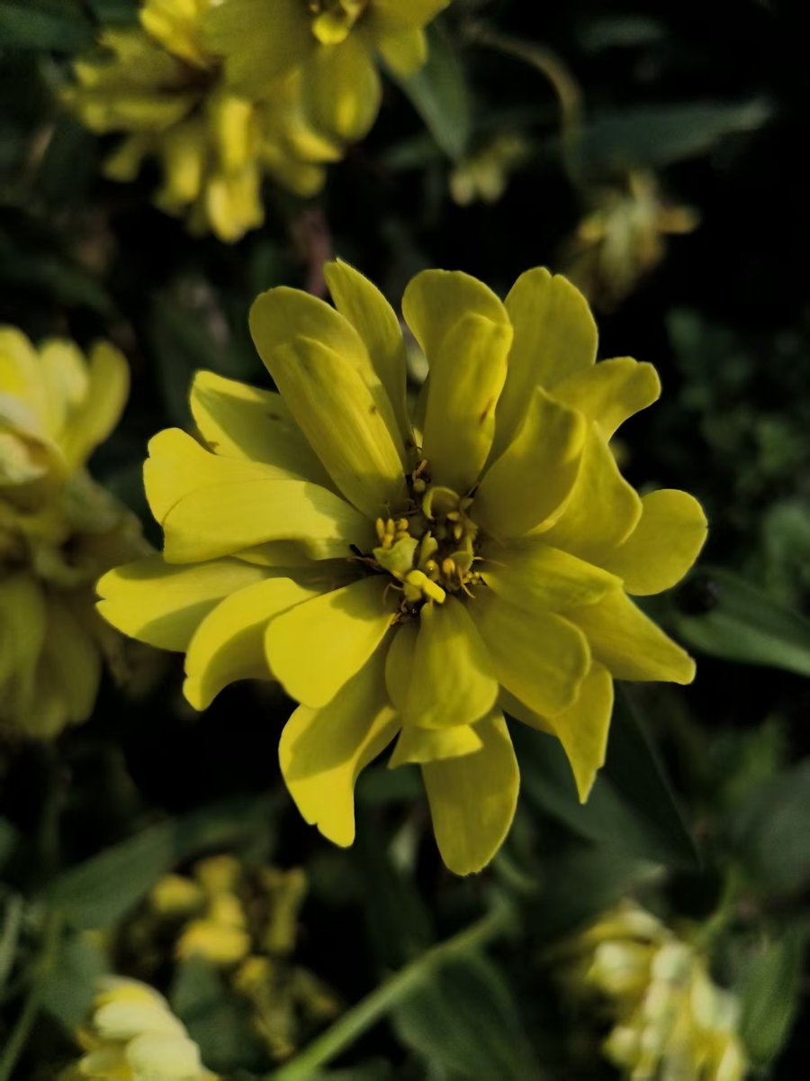 wdr2oversea (@wdr2oversea) on Twitter photo 