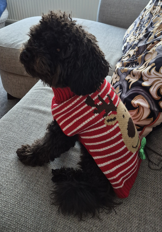 Amphlett Lissimore Solicitors - London tweet media