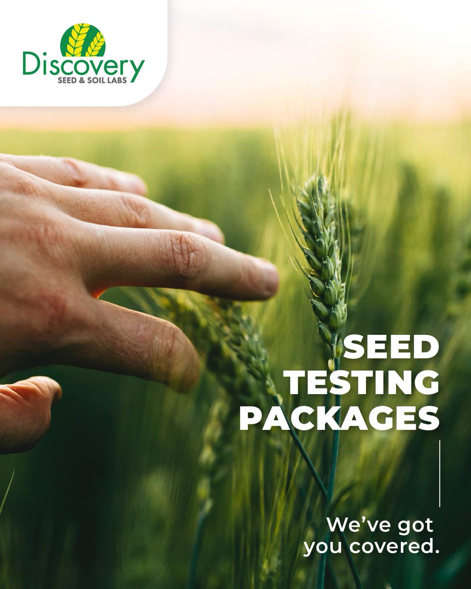 Our seed testing packages are built to give growers confidence heading into the new season. If you’re unsure what to include in your tests, our full package covers it all: germination, cold vigour, disease screening, and seeding rate.
You can always add extra tests as needed.