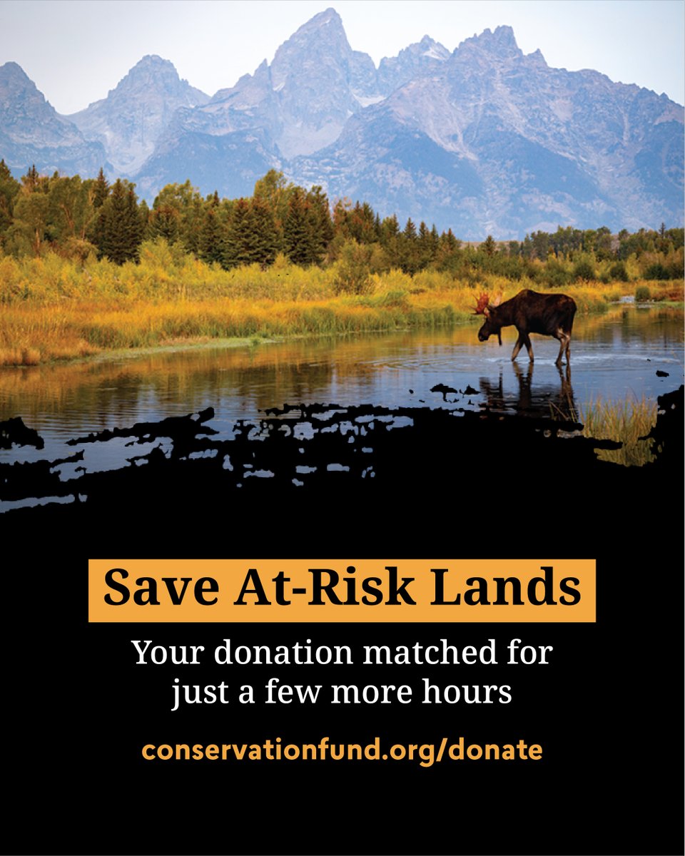 The Conservation Fund tweet media